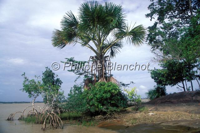 guyane 14.JPG - Ile des lépreuxSaint Laurent du Maroni, Guyane française